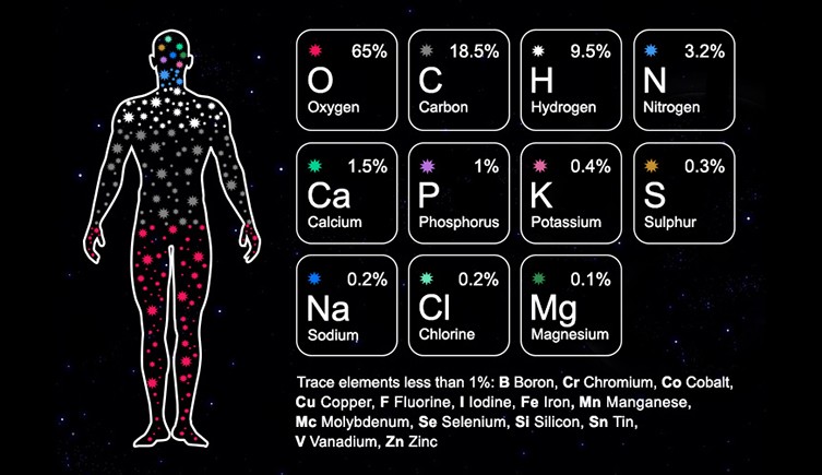 A chart of the elements of the human body and their connection to the stars